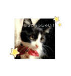 おもちときどきくろみつ（個別スタンプ：3）