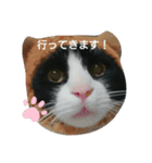 おもちときどきくろみつ（個別スタンプ：4）