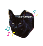 おもちときどきくろみつ（個別スタンプ：5）