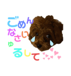 マリオの生活①（個別スタンプ：5）