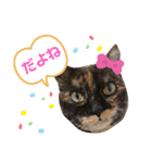 大牙＆花ちゃん（個別スタンプ：13）