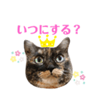 大牙＆花ちゃん（個別スタンプ：14）