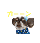 ココラのスタンプ（個別スタンプ：12）