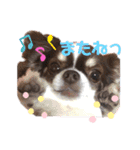 ココラのスタンプ（個別スタンプ：13）