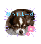 ココラのスタンプ（個別スタンプ：20）