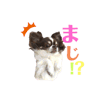 ココラのスタンプ（個別スタンプ：27）