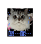 シェリーボーイ只今参上！（個別スタンプ：11）