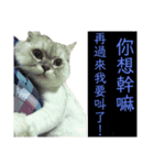 シェリーボーイ只今参上！（個別スタンプ：12）