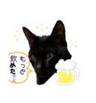 気持ちや感情を伝える猫（個別スタンプ：7）