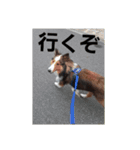 デイビス 1（個別スタンプ：3）
