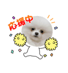初代モコちゃんスタンプ（個別スタンプ：1）
