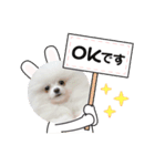 初代モコちゃんスタンプ（個別スタンプ：5）