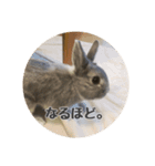あずきの日常2nd（個別スタンプ：9）