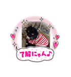 化猫家族（個別スタンプ：2）