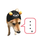 柴キョリ。（個別スタンプ：10）