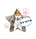 柴キョリ。（個別スタンプ：14）