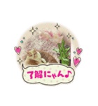 マロコロニャンニャン2（個別スタンプ：4）
