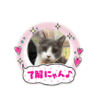 マロコロニャンニャン2（個別スタンプ：8）