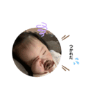 ANNA BABY‪໒꒱·゜（個別スタンプ：13）
