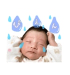 ひまちゃんスタンプ 1（個別スタンプ：8）