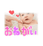 ひまちゃんスタンプ 1（個別スタンプ：10）