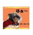 kamimoriスタンプ（個別スタンプ：1）