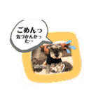 kamimoriスタンプ（個別スタンプ：17）