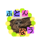 kamimoriスタンプ（個別スタンプ：19）
