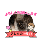 春のアレク犬スタンプ（個別スタンプ：5）