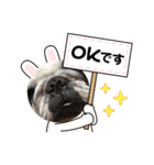 春のアレク犬スタンプ（個別スタンプ：6）