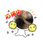 春のアレク犬スタンプ（個別スタンプ：8）