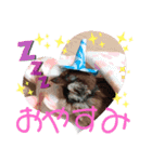 チビファミリー2❣️（個別スタンプ：3）