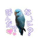 チビファミリー2❣️（個別スタンプ：6）