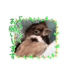 チビファミリー2❣️（個別スタンプ：9）