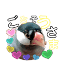 チビファミリー2❣️（個別スタンプ：13）