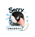 チビファミリー2❣️（個別スタンプ：15）