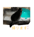 チンチラのちぃちゃんとうづきちゃん（個別スタンプ：4）