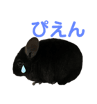 チンチラのちぃちゃんとうづきちゃん（個別スタンプ：6）