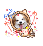 うちのミン4（個別スタンプ：1）