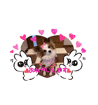 うちのミン4（個別スタンプ：5）