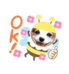 うちのミン4（個別スタンプ：6）