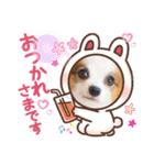 うちのミン4（個別スタンプ：7）