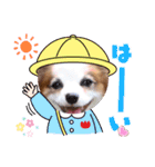 うちのミン4（個別スタンプ：9）