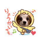 うちのミン4（個別スタンプ：12）