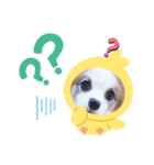 うちのミン4（個別スタンプ：13）