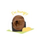 トイプーPinちゃんの日常（個別スタンプ：14）