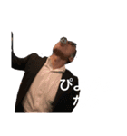 ただただ愉快なんだ（個別スタンプ：10）