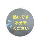 意思表示のスタンプ（個別スタンプ：14）