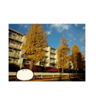realpotean（個別スタンプ：27）
