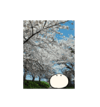 realpotean（個別スタンプ：29）